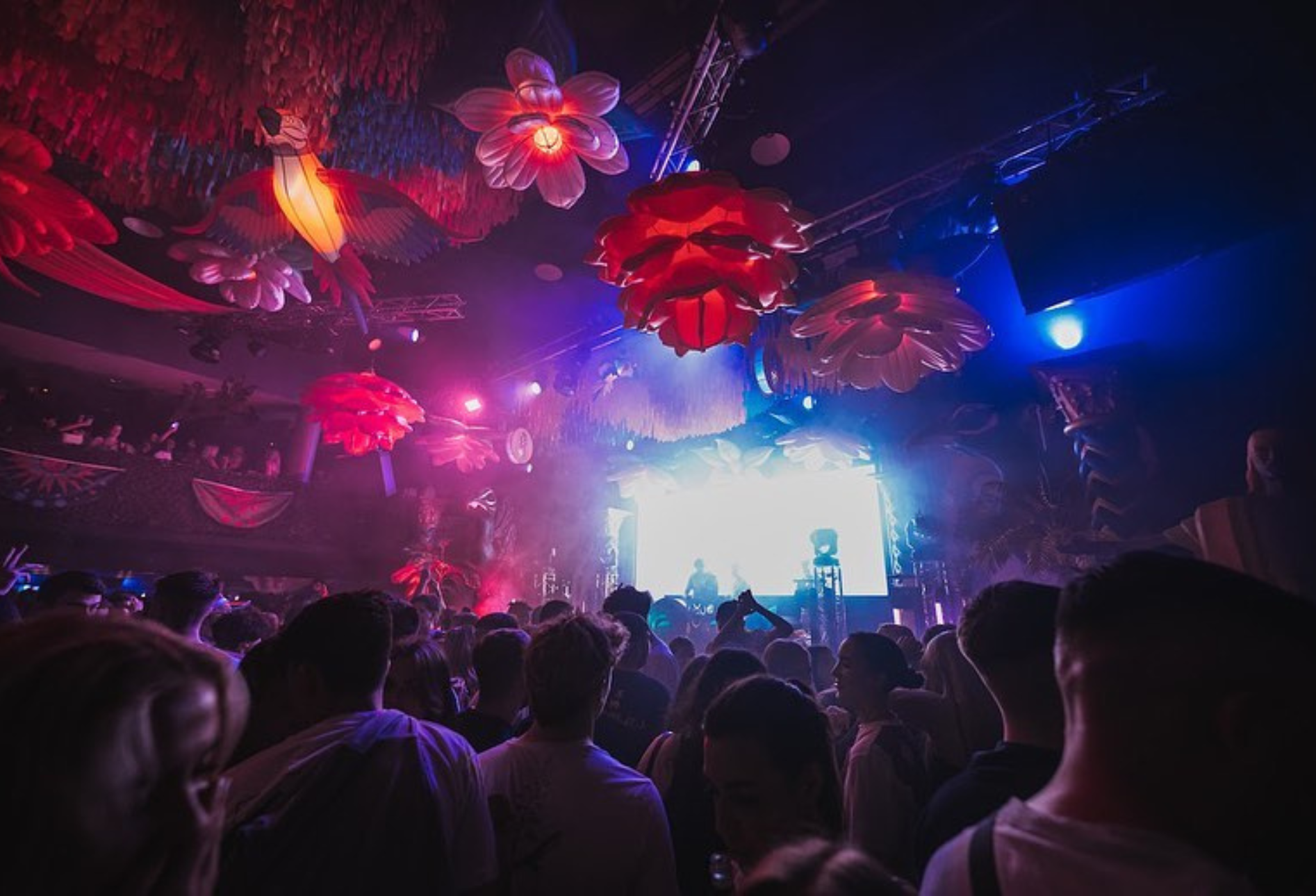 What's Hot? New Events On FIXR