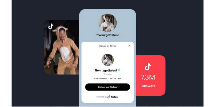 TikTok Partners With Linktree