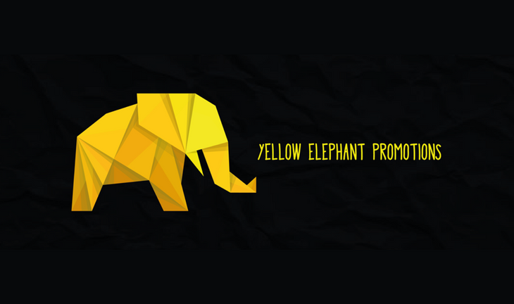 Spotlight On: Yellow Elephant